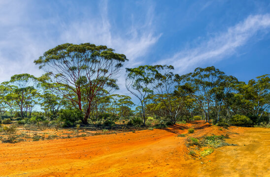 Kalgoorlie is in the Goldfields region of Western Australia	