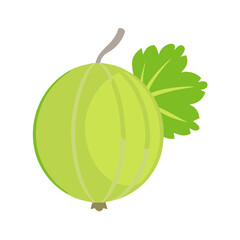  Gooseberry Fruit Graphic for Healthy Snacking