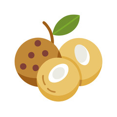  Elegant Longan Design for Menus