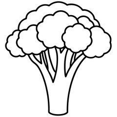 Linear Broccolini Minimal Vector Illustration