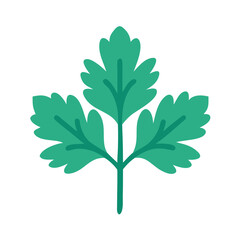  Fresh Parsley Leaf Culinary Icon