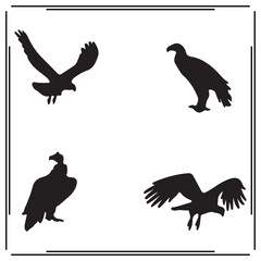 Condor silhouette, Condor illustration , Condor clipart, Condor vector ,Condor icon , black Condor, Condor illustration on white background,