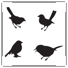 Warbler silhouette, Warbler illustration ,Warbler clipart, Warbler vector ,Warbler icon , black Warbler, Warbler illustration on white background,