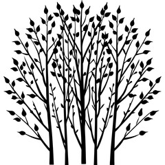 Birch Tree Cluster vector silhouette black design white background