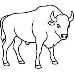 Minimalist Bison Line Art Vector Design