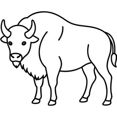 Minimalist Bison Line Art Vector Design