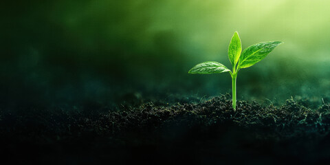 young plant emerges from dark soil, symbolizing hope and growth on this earth day