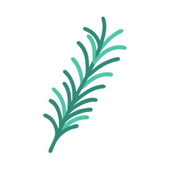  Fresh Rosemary Sprig Culinary Icon