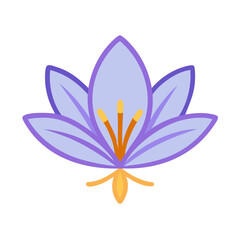  Exotic Saffron Spice Culinary Icon