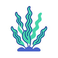  Fresh Seaweed Sheets Culinary Icon