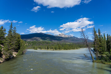 Jasper National Park summer landscape. Miette River before its confluence with the Athabasca River. Alberta, Canada. Canadian Rockies.