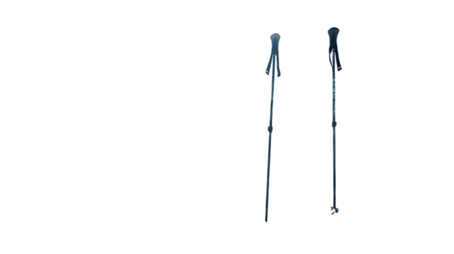 Professional Ski Poles on Snowy Landscape - Winter Sports Equipment for Skiing Adventures