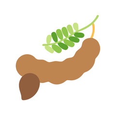  Tamarind Pod Icon for Flavoring