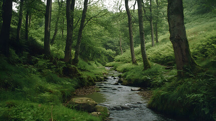 Tranquil nature landscape with stream flowing through dense forest