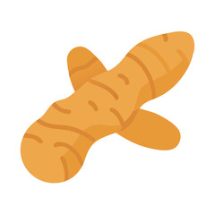  Turmeric Root Vector for Health Benefits