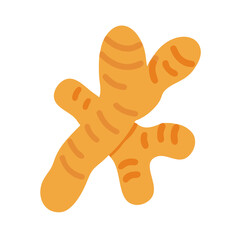  Turmeric Root Icon for Culinary Uses