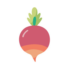  Fresh Turnip Culinary Icon