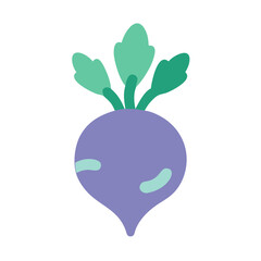  Turnip Vector for Root Vegetables