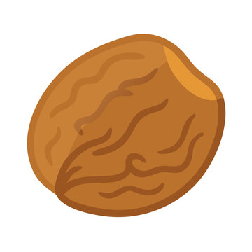 brown almond nut isolated clip art preview