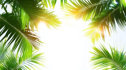 Fototapeta premium Vibrant tropical summer abstract featuring palm leaves and sunlit skies for a vacation vibe