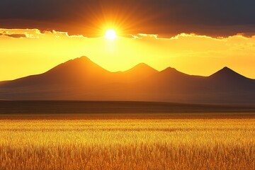 Golden sunset over a field of tall grass