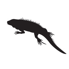 iguana silhouette design. lizard animal sign and symbol.