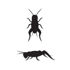 cricket animal silhouette design. insect sign and symbol.