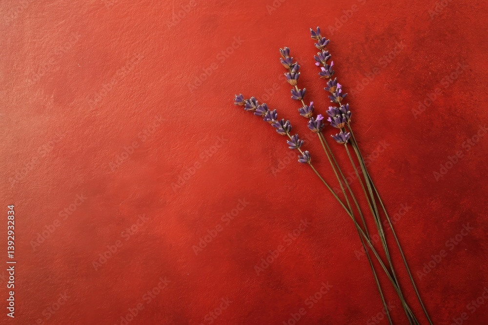 Poster lavender sprigs arranged on a textured red surface for a vibrant and inviting decor display