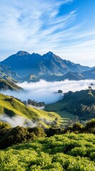 Fototapeta premium Mountain valley sunrise, fog, hills. Wallpaper