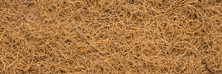 Brown coconut coir background of orthopedic mattress layer. Closeup. Wide banner. Top down view.