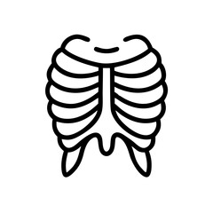 ribs
