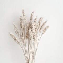 Elegant dried wheat sprigs