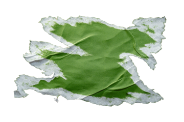 Peeled green paper poster texture with jagged edge