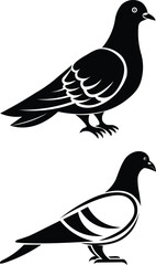 Pigeon Silhouette vector design. 