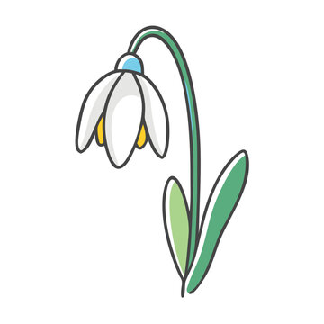 recommend clip art: snowdrop flower icon, snowdrop flower vector illustration-simple illustration of snowdrop flower, perfect for snowdrop flower logos and icons
