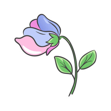 recommend clip art: sweet pea flower icon, sweet pea flower vector illustration-simple illustration of sweet pea flower, perfect for sweet pea flower logos and icons