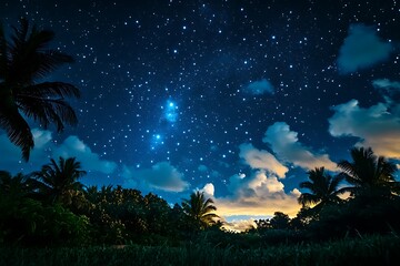 Naklejka premium Night sky showing brilliant stars over tropical trees and vegetation