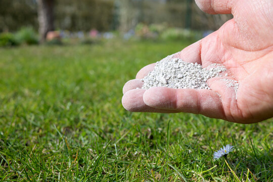Kalk, Gartend&uuml;nger in der Hand