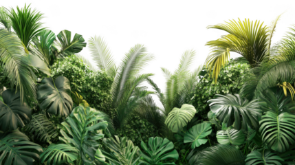 Tropical plants background green foliage jungle leaves monstera palms nature wallpaper backdrop design