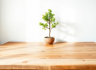 Fototapeta premium Minimalist Bamboo Plant in Wooden Pot on Table