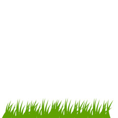 Fototapeta premium Green grass illustration