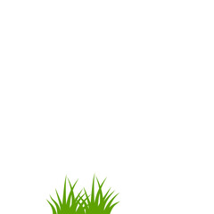 Obraz premium Green grass illustration