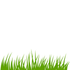 Fototapeta premium Green grass illustration