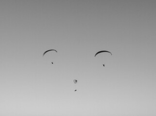 Hang Gliding Face In The Sky
