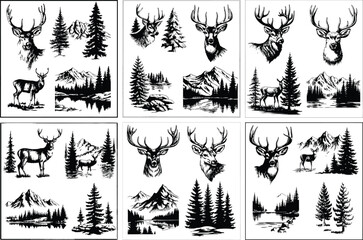 Deer Elk Bull Wapiti Large Antlers Wildlife