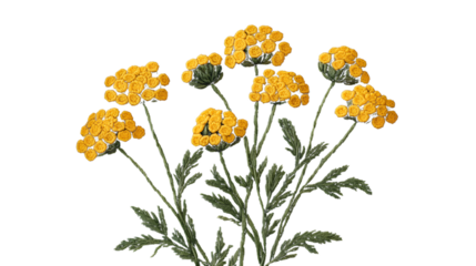 Professional Business Team in a Meeting Discussing Strategies and Plans for Success