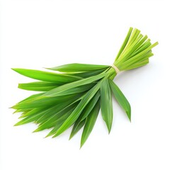Fresh pandan leaves bunch isolated on white background

