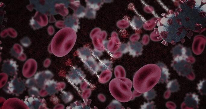 Red blood cells and virus particles interacting in microscopic view of bloodstream