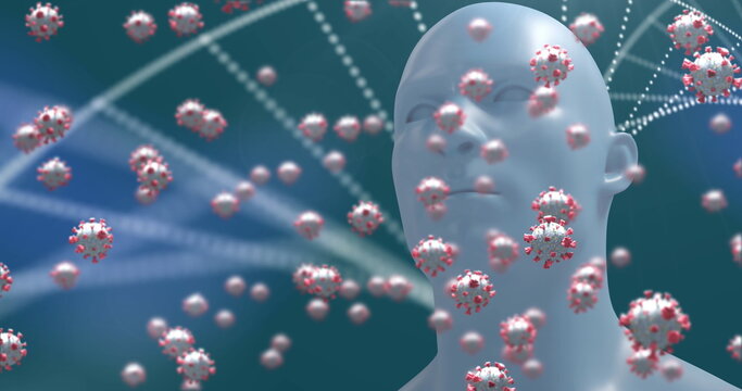 Image of human head model with Covid 19 cells floating and DNA strand spinning