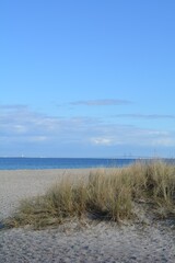A serene spring view of coastal sand dunes along the Øresund strait in Denmark, with the iconic Øresund Bridge visible in the background